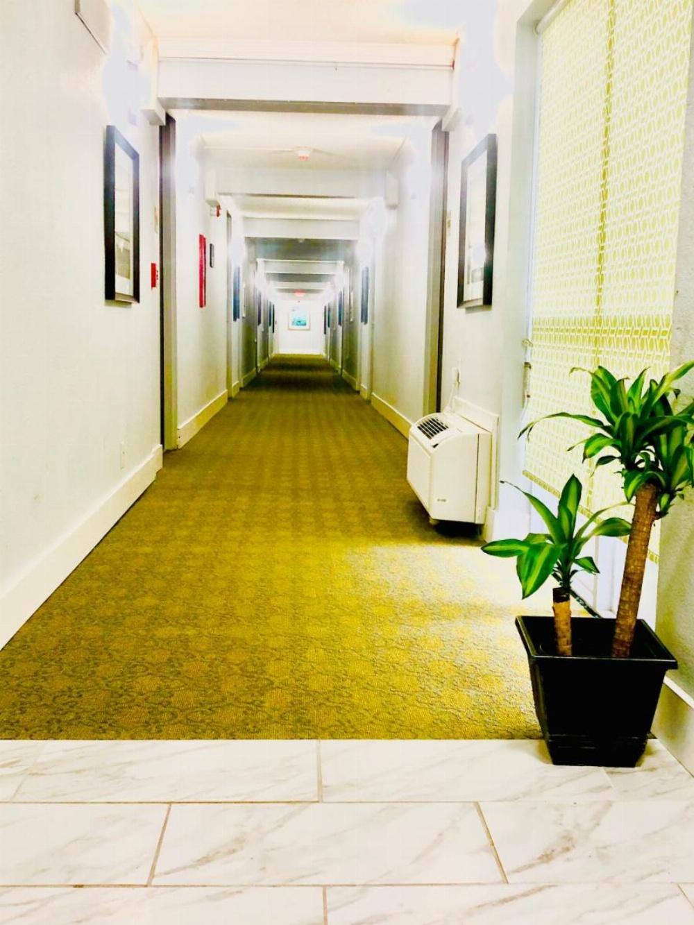 Montgomery Inn & Suites Image 39